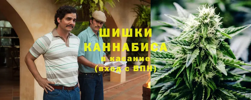 omg ONION  Кириши  Канабис Bruce Banner 